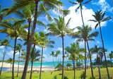Hilton Garden Inn Kauai Wailua Bay foto 8