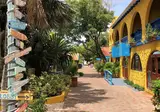 Divi Flamingo Beach Resort foto 3