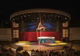Delphin Botanik Platinum foto 17