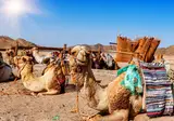 The Adventurous Oman Experience foto 3