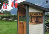 Fjorden, Gletsjers en Dalen foto 3