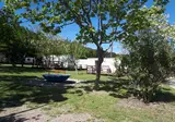 Camping Borepo foto 8