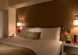 Millenium Hilton New York One UN Plaza foto 27