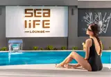 Sealife Lounge foto 27