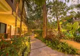 The Viridian Resort foto 30