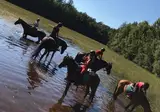 Camping De Bronzen Emmer foto 5