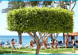 Poseidonia Beach Hotel foto 13
