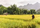 Authentiek Noord-Vietnam foto 2