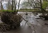 Hotel De Brabantse Biesbosch foto 13