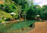 Nandini Jungle Resort & Spa foto 12