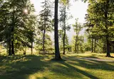 Forest Camping Mozirje foto 4