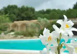 Masseria Relais Santa Teresa foto 7