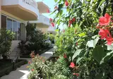 Golden Rose Suites foto 20