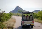 Ultimate Safari Experience - Sefapane Lodge foto 15