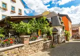 Rijnromantiek naar Rüdesheim met mps Serenade 2 foto 5