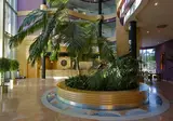 Albir Playa & Spa foto 5