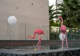 Mercure Larnaca Beach Resort foto 27