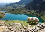 De wonderen van Wales foto 19