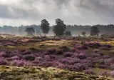 Hotel De Hoeve van Nunspeet foto 33