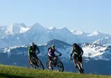 Vakantiepark Alpenchalets Flachauer Gutshof foto 34