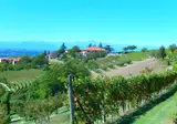 Agriturismo Cantina Bevione foto 11
