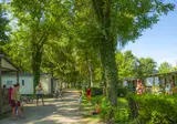 Camping Le Ried foto 19