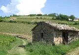 La Grappe Fleurie foto 20