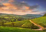 8 daagse wijnroute van de Langhe tot Cinque Terre foto 2
