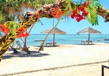 Nest Style Beach Zanzibar foto 14