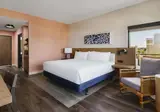 Hilton Garden Inn St. Pete Beach foto 16