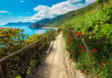 Ontdek Toscane en Cinque Terre foto 11