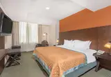 Hilton Garden Inn Mexico City Polanco foto 2