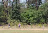 Camping Dal Van De Mosbeek foto 12