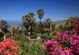 La Palma Jardin foto 7