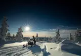 5 daagse excursiereis Muotka Wilderness Week foto 3