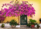 Ontdek Corfu vanuit Kommeno foto 3