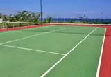 Elysium Resort & Spa foto 9