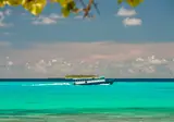 Dhiguveli Maldives foto 11