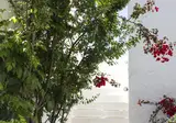Naxos Holidays Hotel foto 21