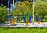 Oliva foto 19