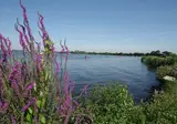 Kagerplassen foto 5