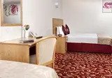 Best Western Greater London Hotel foto 30