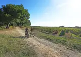 Camping De L Olivigne foto 20