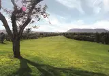 El Plantio Golf Resort foto 24
