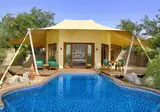 Al Maha, a Luxury Collection Desert Resort & Spa foto 13