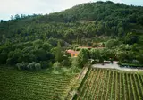 Quinta da Bouca d'Arques foto 7