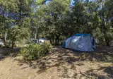 Flower Camping Monplaisir foto 15
