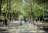 Jardin le Brea foto 12