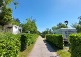 Camping Mare Pineta foto 11