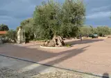 Masseria San Martino foto 14